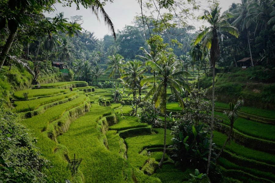 Lombok