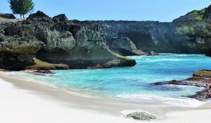 Authentic Sumba Discovery